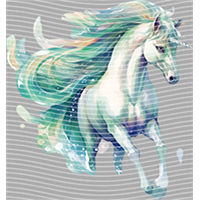 Rainbow Horse-RH 272